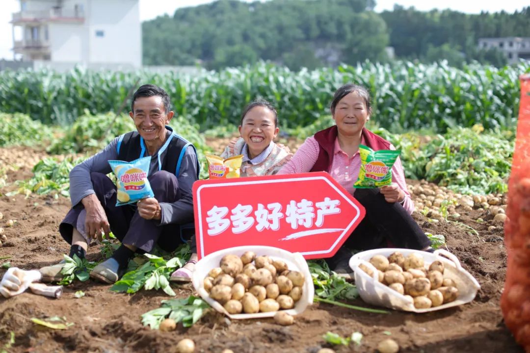 创业十周年,拼多多用“长期主义”为电商竞争“交答卷”