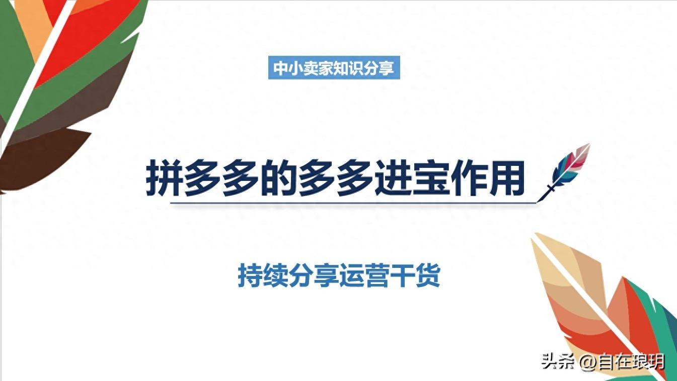 多多进宝揭秘：亏损拉订单，补DSR评分，别被坑了！
