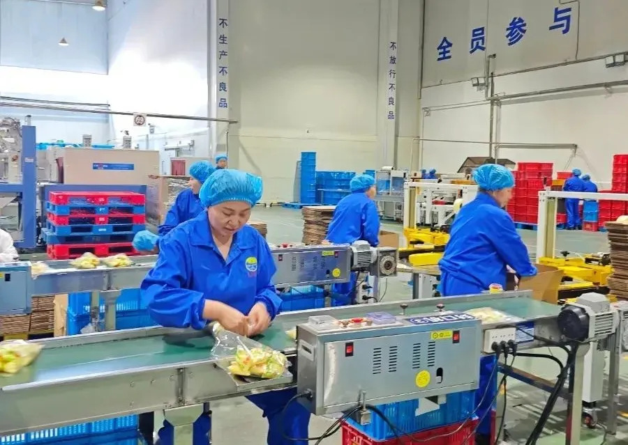 中国乡镇企业发展模式转变_拼多多 搜索权重_地理资源论下的贸易发展思维