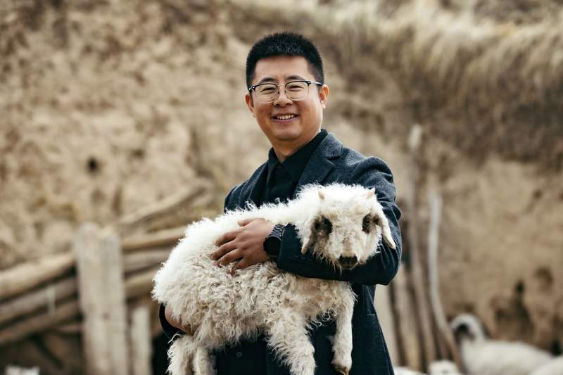 拼多多新电商模式分析_拼多多十周年发展历程_拼多多店铺拓量工具