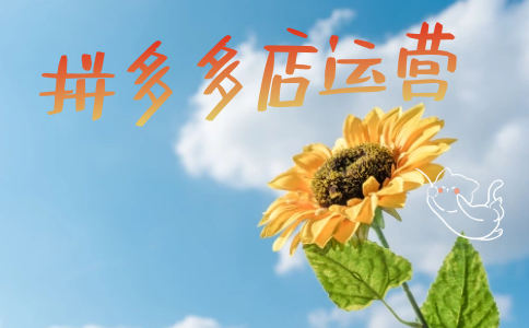 拼多多店铺没有流量应该怎么办?有哪些补救方法?