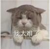 手机拼多多商家版怎么设置尺码_拼多多限时秒杀活动审核通过技巧_系统运营驳回原因分析