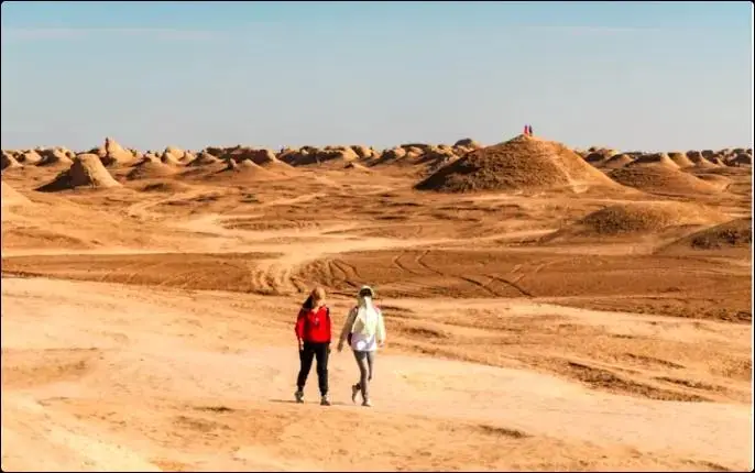 拼多多自动跟价商家关闭_拼多多商家聊天功能已关闭_拼多多商家权益保护