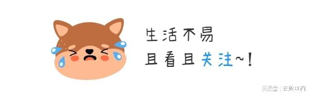 好评拼多多能提高搜索权重吗_拼多多动销软件_权重大师优化店铺权重