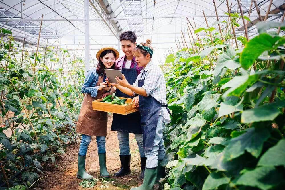 推出“百亿生态”，拼多多“极限左移”