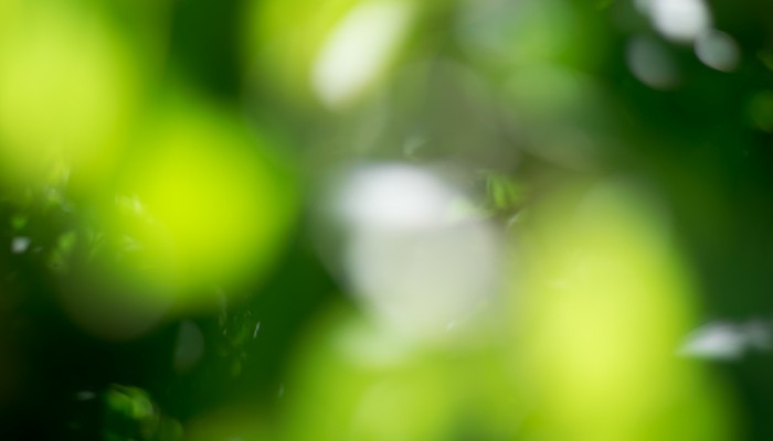 拼多多店群软件排行 魔店