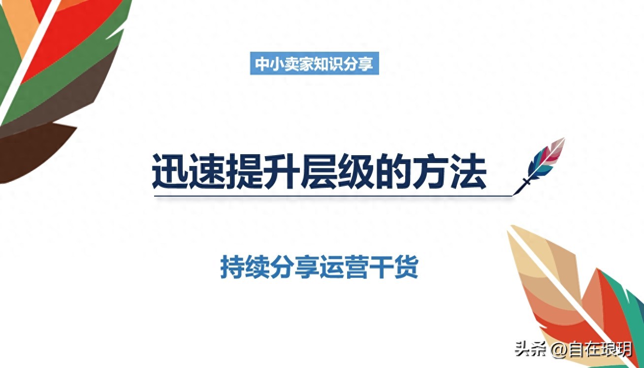 拍大单提升店铺层级技巧_迅速提高拼多多店铺层级的方法_拼多多搜索权重怎么提升