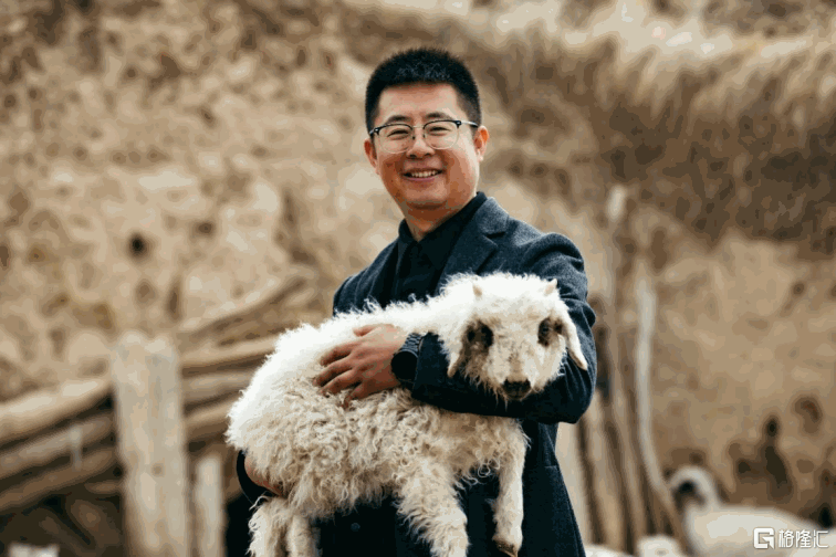 拼多多运营工具都有哪些_拼多多重新定义消费升级_拼多多十周年发展历程