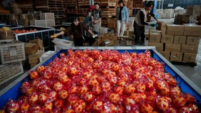 拼多多十周年经营模式_拼多多补权重方法_拼多多千亿扶持产业带重构