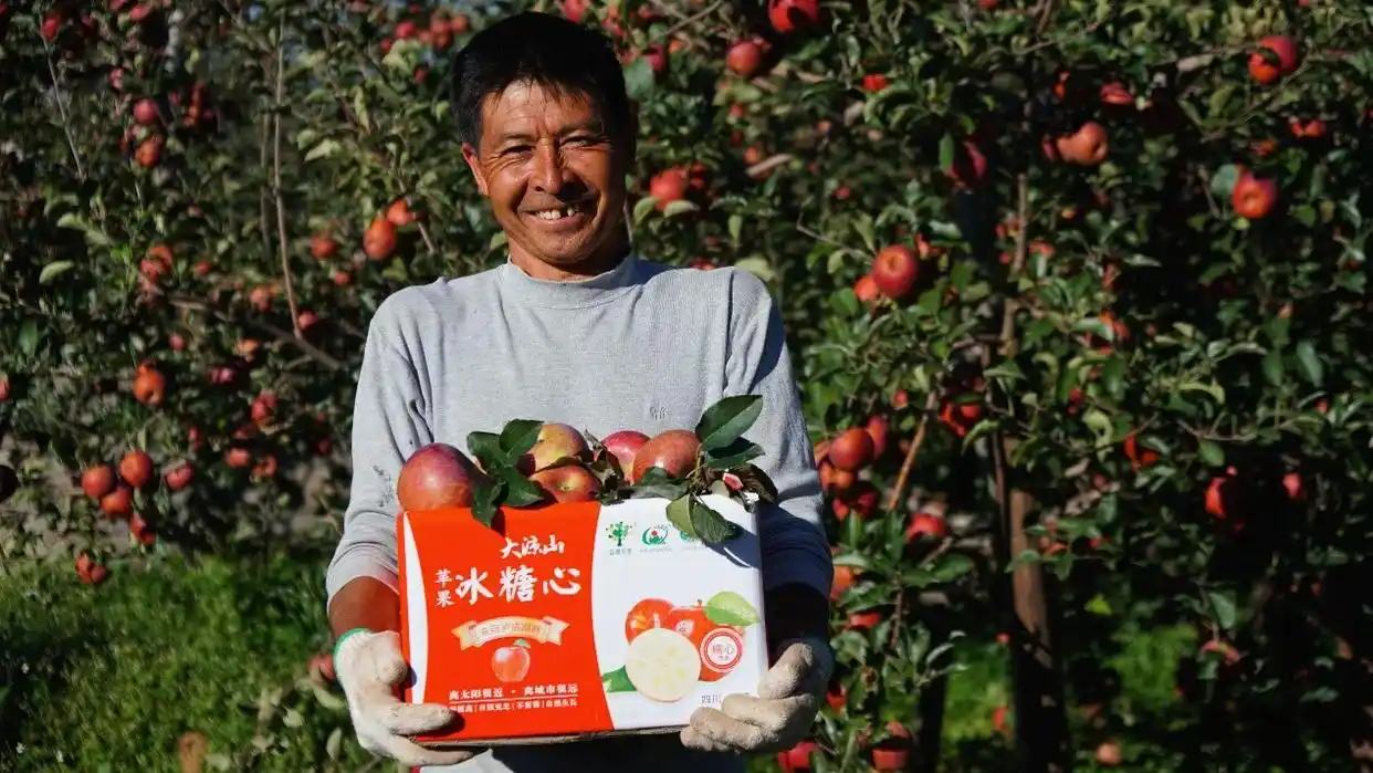 拼多多百亿补贴11.11活动_拼多多商家活动名称写什么_拼多多联合央视湖南卫视超拼夜