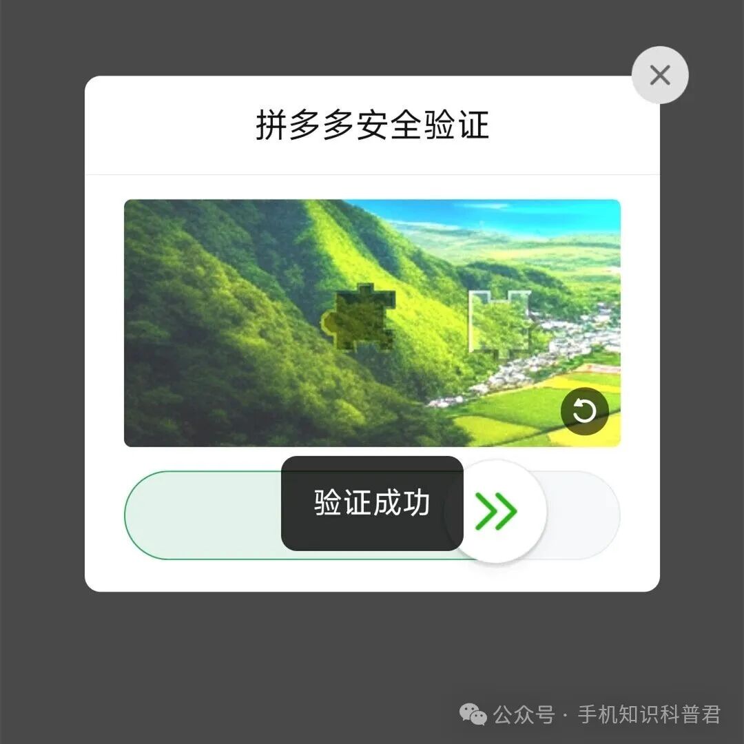 拼多多旗舰店如何鉴别真伪_拼多多旗舰店正品辨别_拼多多出评是什么意思