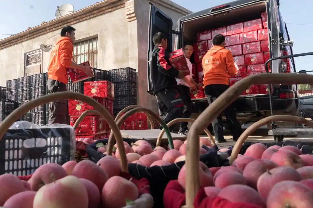 哈士奇电商工具拼多多_拼多多千亿扶持计划_新质商家全面惠商战略