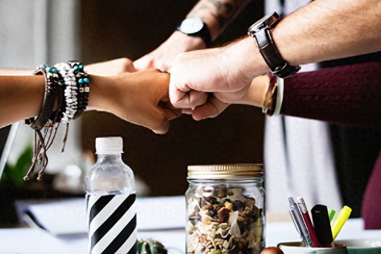 怎么查询拼多多的大盘数据_怎样看拼多多商家产品的类目_拼多多个人店铺和企业店铺权重一样吗