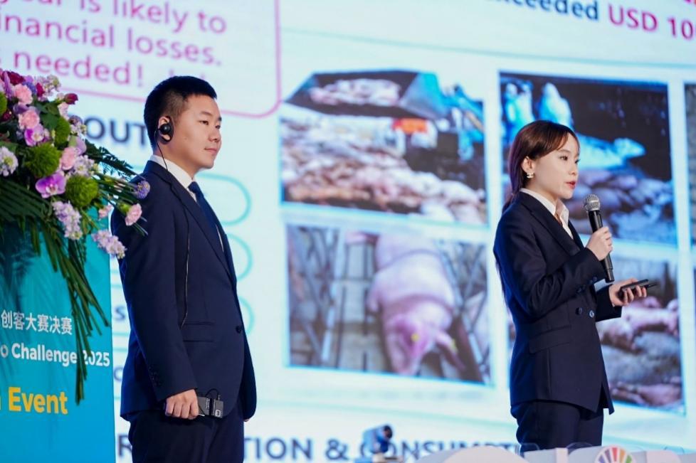 拼多多千亿扶持农业发展_拼多多商家电脑版怎么下载_拼多多2025年第三季度财报