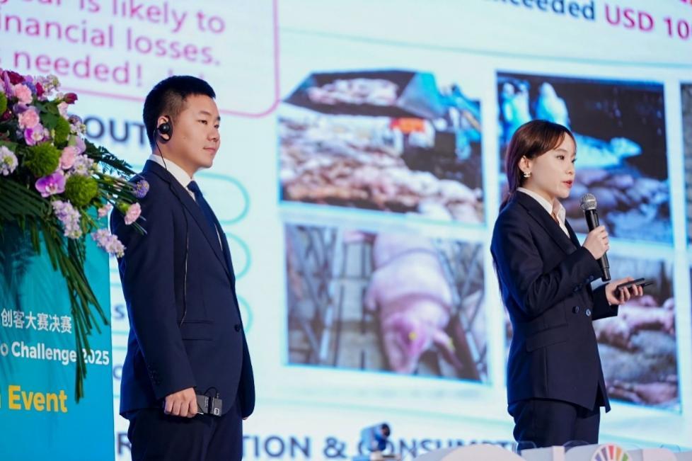 拼多多商家数据分析_拼多多千亿扶持战略助农_拼多多2025年第三季度财报