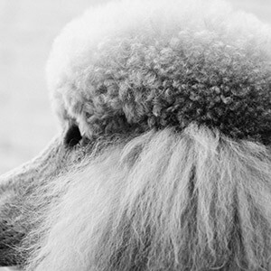 拼多多购买商品尺寸不符维权途径_拼多多商家版添加商品怎么弄尺码_拼多多商品尺寸不符怎么解决