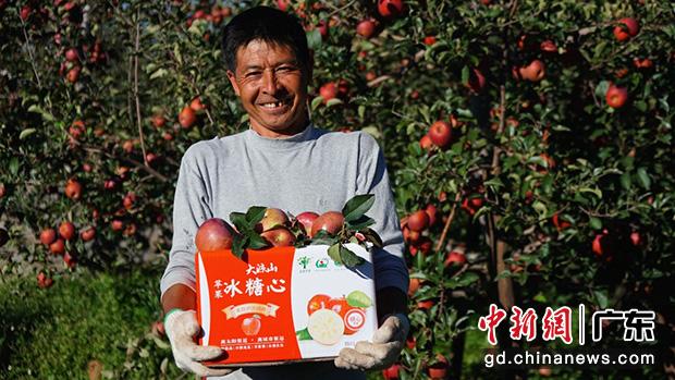 从“丑苹果”到“网红苹果”：盐源苹果借力电商走出大凉山