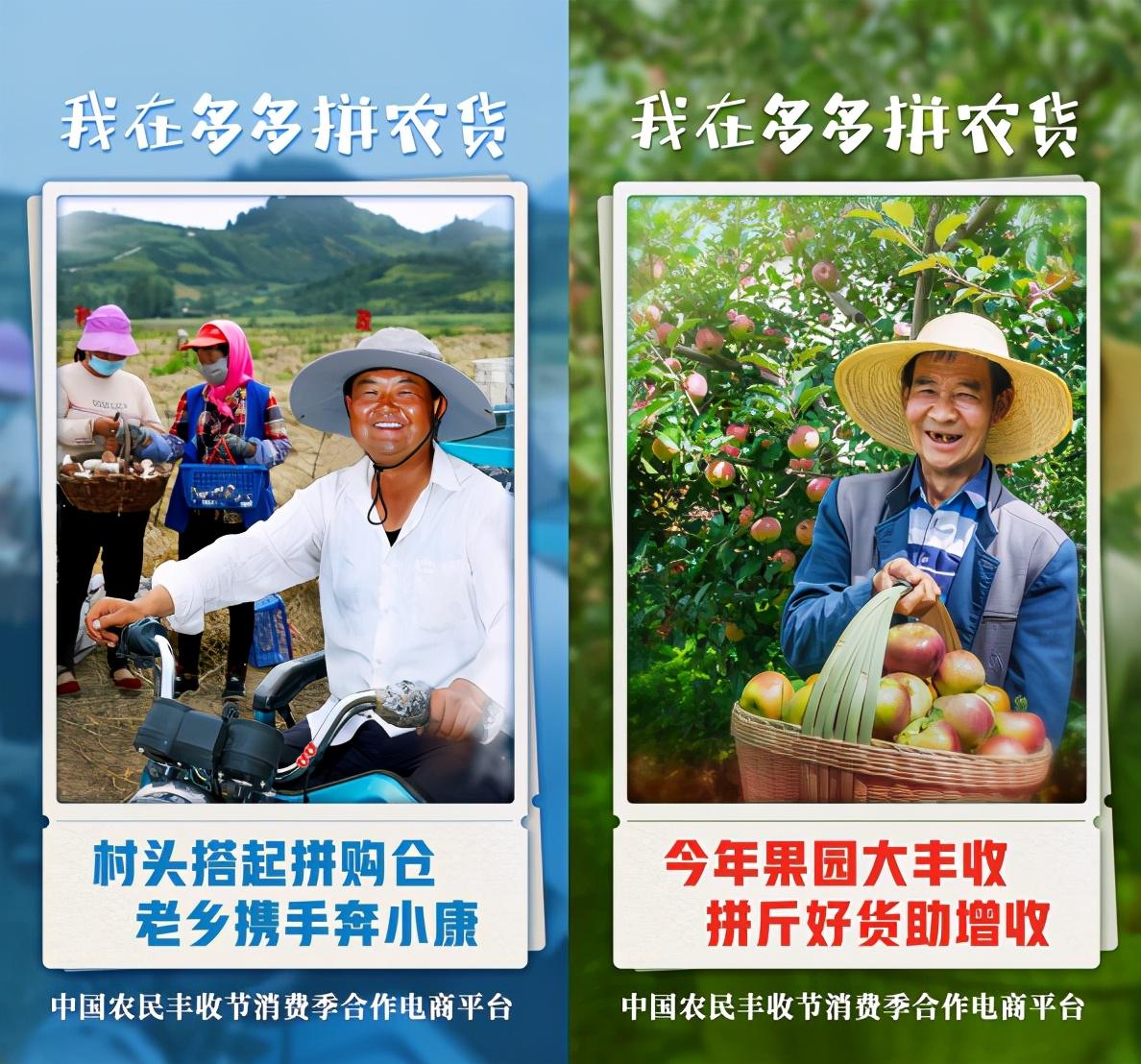 拼多多首次季度盈利_拼多多怎么获取权重_百亿补贴创造奇迹