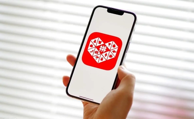 拼多多2024年财报数据_拼多多营收增长分析_拼多多怎么获取权重