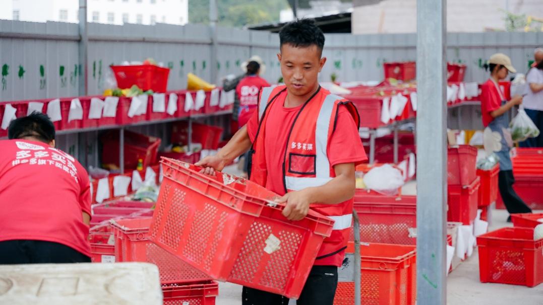 拼多多十周年发展历程_拼多多新电商模式分析_拼多多易出评软件