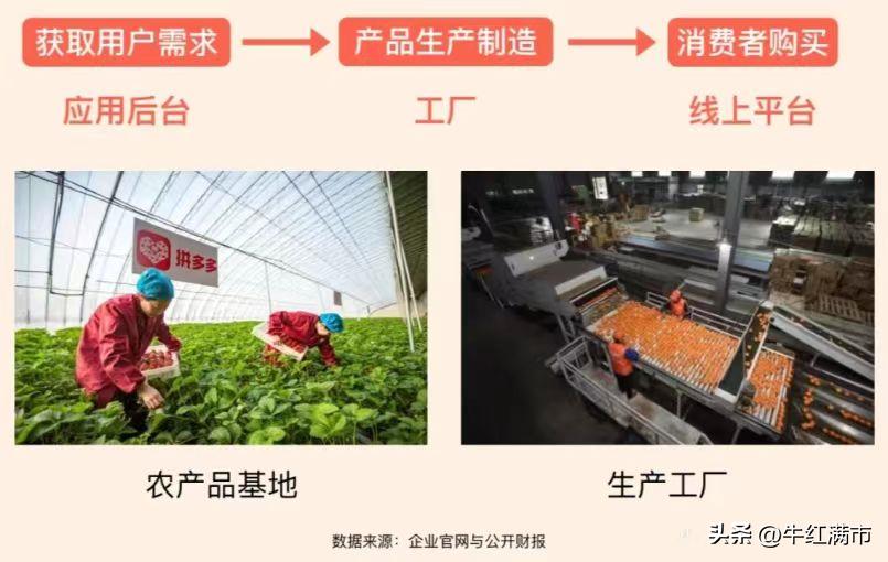 拼多多2020出评软件是什么_拼多多公司发展历程_拼多多商业模式分析