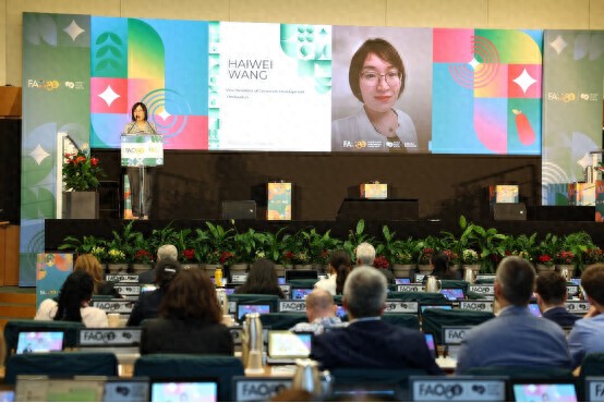 拼多多粮农创新大赛_拼多多商家活动名称写什么_拼多多粮农组织世界粮食论坛