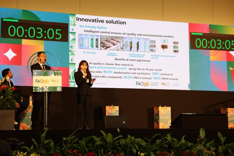 拼多多王海薇数字农业创新_拼多多商家活动名称写什么_拼多多粮农组织世界粮食论坛