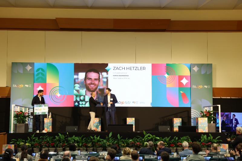 拼多多王海薇数字农业创新_拼多多商家活动名称写什么_拼多多粮农组织世界粮食论坛